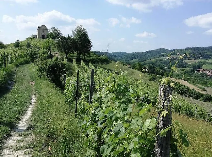 La Volpe Tra Le Vigne Bed & Breakfast Castelnuovo Don Bosco