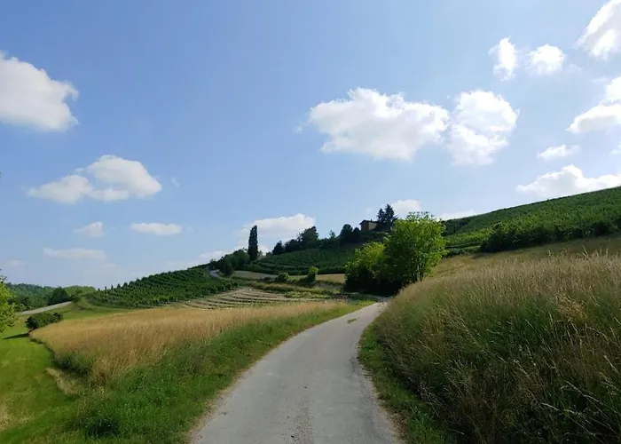 La Volpe Tra Le Vigne Bed & Breakfast Castelnuovo Don Bosco