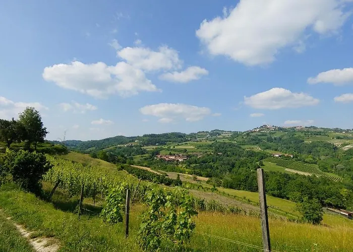 La Volpe Tra Le Vigne Castelnuovo Don Bosco